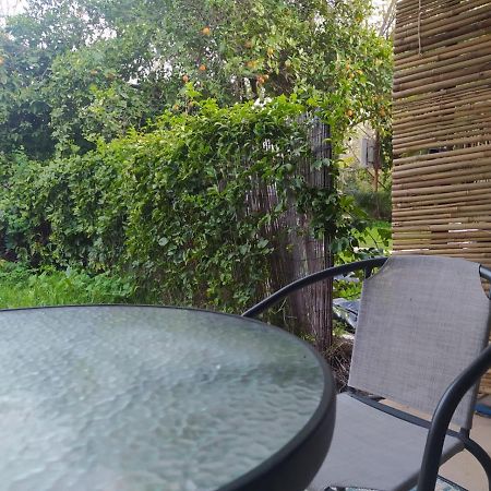אצלנו בקיבוץ Appartement Amir Buitenkant foto