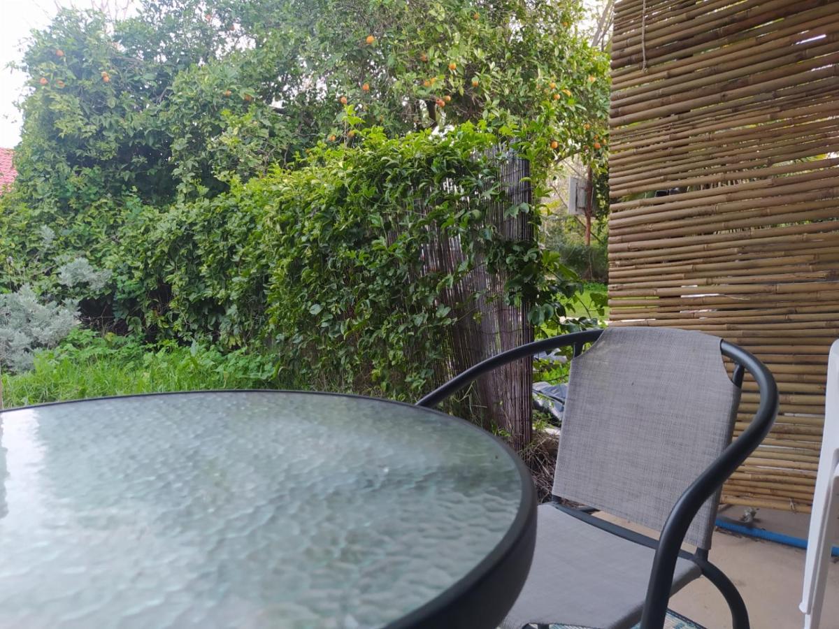 אצלנו בקיבוץ Appartement Amir Buitenkant foto